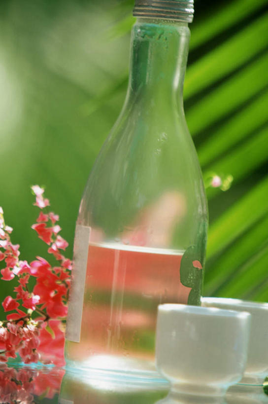 无人,竖图,室内,特写,白天,正面,餐桌,桌子,杯子,叶子,阴影,朦胧,模糊,盛开,光线,瓷器,影子,绿叶,咖啡杯,陶瓷制品,花蕾,红酒瓶,芭蕉叶,玻璃制品,酒瓶,花,花瓣,花朵,鲜花,一个,红色,阳光,玻璃瓶,瓶子,花苞,花蕊,嫩叶,单个,餐台,瓷杯,叶,叶片,彩图