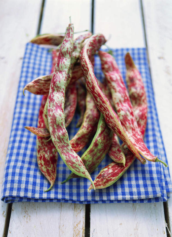 无人,竖图,俯视,室内,特写,白天,植物,桌面,桌子,豆,蔬菜,一排,许多,阴影,花纹,新鲜,整齐,光线,木制,布,图案,影子,豆类,豆子,食品,很多,布纹,食物,排列,木制品,有机食品,绿色食品,布匹,队列,豆科,赤花蔓豆,红花菜豆,看花豆,彩图,高角度拍摄