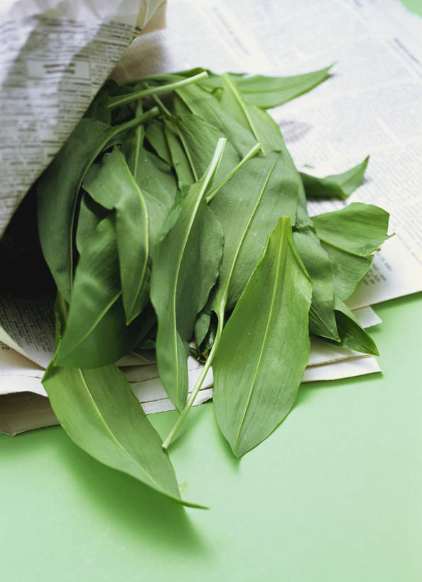 无人,竖图,俯视,室内,特写,白天,桌面,桌子,蔬菜,报纸,叶子,一堆,许多,阴影,堆叠,堆积,新鲜,光线,信息,木制,影子,食品,绿叶,食物,绿色,木制品,嫩叶,有机食品,绿色食品,堆,新闻,熊葱,林地蒜,野蒜菜,叶,叶片,彩图,高角度拍摄,报刊