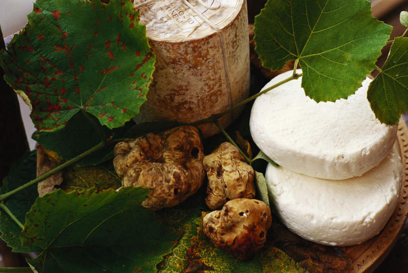 奶酪,无人,横图,俯视,室内,特写,白天,桌面,桌子,蔬菜,餐具,叶子,阴影,新鲜,光线,木制,碟子,盘,影子,菌菇,干酪,起司,食品,糖,糖果,甜点,甜品,绿叶,芝士,营养,菌类,食物,一个,盘子,木制品,碟,甜食,巧克力,嫩叶,乳酪,食用菌,有机食品,绿色食品,单个,朱古力,乳制品,发酵,山羊奶酪,白块菌,块菌,叶,叶片,彩图,高角度拍摄