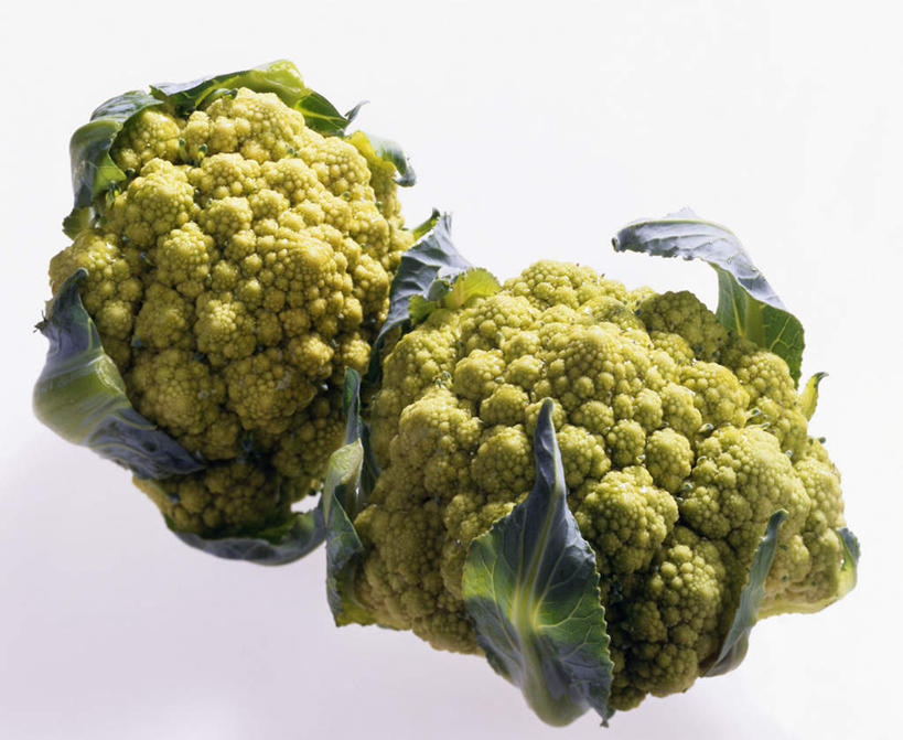 无人,横图,俯视,室内,特写,白天,白色背景,蔬菜,阴影,新鲜,光线,影子,花菜,花椰菜,西兰花,食品,两颗,食物,摄影,有机食品,绿色食品,影棚,彩图,高角度拍摄,影棚拍摄,拍摄