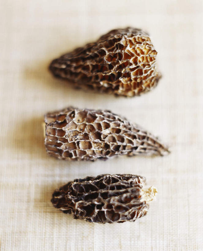 无人,竖图,俯视,室内,特写,白天,白色背景,桌面,桌子,蔬菜,一排,阴影,新鲜,整齐,光线,木制,影子,菌菇,食品,菌类,食物,排列,三个,木制品,食用菌,摄影,有机食品,绿色食品,影棚,队列,羊肚菇,羊肚菜,羊肚菌,羊蘑,美味羊肚菌,彩图,高角度拍摄,影棚拍摄,拍摄