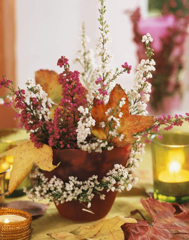 无人,竖图,俯视,室内,特写,白天,智慧,桌面,桌子,花瓶,蜡烛,阴影,朦胧,模糊,艺术,装饰,盛开,光线,木制,火焰,影子,烛光,燃烧,花蕾,文化,玻璃制品,花,花瓣,花朵,鲜花,插花,玻璃瓶,木制品,瓶子,花苞,花蕊,点燃,华丽,修饰,插花艺术,点缀,创造,庄重,创作,想象,衬托,美观,雅致,雅观,威严,扇骨木,石南,石南花,石楠,石楠花,孤独,彩图,高角度拍摄