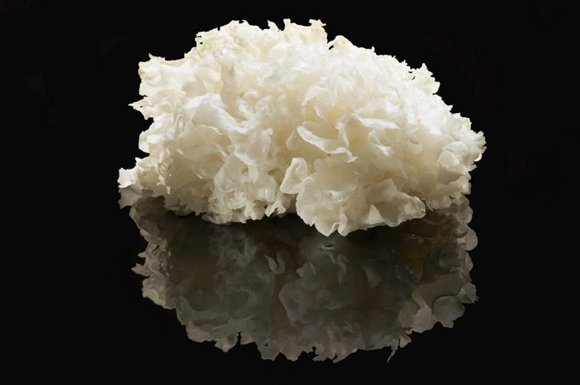 无人,横图,俯视,室内,特写,白天,桌面,桌子,蔬菜,阴影,黑色背景,新鲜,光线,木制,影子,菌菇,食品,菌类,食物,一个,倒影,木制品,食用菌,摄影,有机食品,绿色食品,影棚,单个,白木耳,银耳,倒映,雪耳,反照,彩图,高角度拍摄,影棚拍摄,拍摄