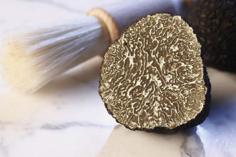 无人,横图,俯视,室内,特写,白天,餐桌,桌子,蔬菜,切开,阴影,新鲜,光线,影子,菌菇,食品,菌类,食物,一个,黑色,刷子,切,食用菌,有机食品,绿色食品,单个,餐台,剖面,切面,黑孢块菌,黑块菌,块菌,彩图,高角度拍摄