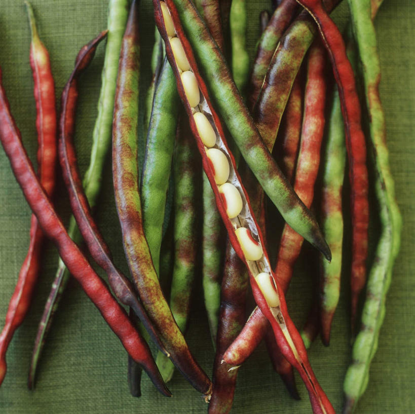 无人,横图,俯视,室内,特写,白天,植物,餐桌,桌子,豆,蔬菜,一排,许多,阴影,朦胧,模糊,新鲜,整齐,光线,影子,豆类,豆子,食品,很多,食物,排列,有机食品,绿色食品,餐台,队列,豆科,赤花蔓豆,红花菜豆,看花豆,彩图,高角度拍摄