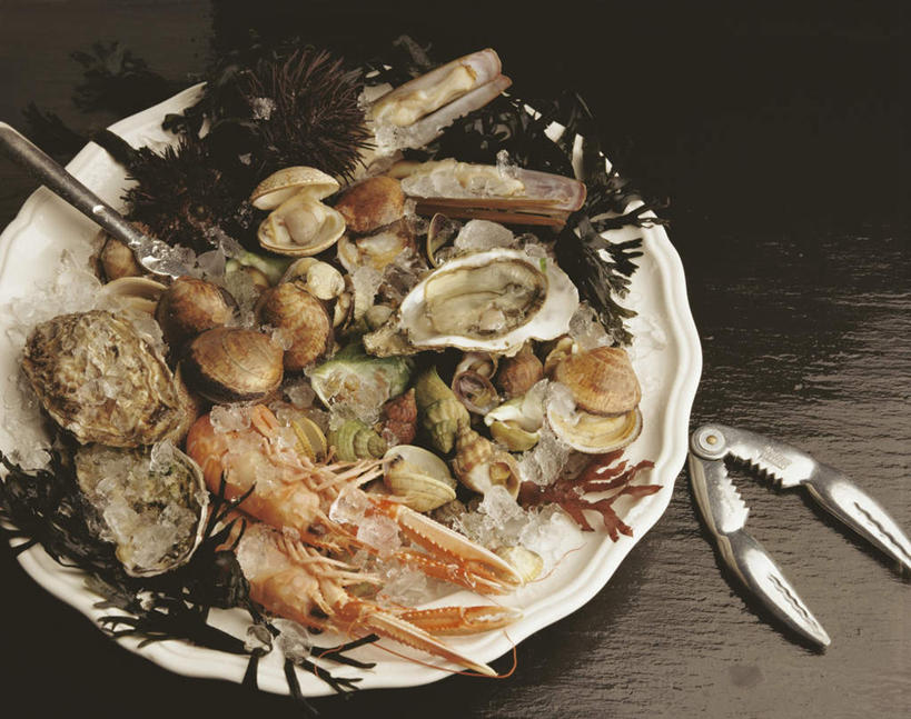 无人,横图,俯视,室内,特写,白天,餐桌,桌子,贝壳,餐具,阴影,反射,碟子,盘,影子,虾,一个,盘子,碟,单个,餐台,螺蛳,田螺,斑节对虾,斑节虾,蜗篱,师螺,蜗蠃,方田螺,日本对虾,竹节虾,贝类外壳,海螺壳,软体动物外壳,彩图,高角度拍摄