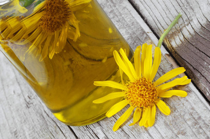 无人,横图,俯视,室内,特写,白天,植物,餐桌,桌子,黄瓜,蔬菜,阴影,朦胧,模糊,新鲜,盛开,反射,木制,罐子,影子,食品,草药,药草,花蕾,中药,玻璃制品,花,花瓣,花朵,鲜花,食物,一个,黄色,玻璃瓶,木制品,瓶子,花苞,花蕊,有机食品,绿色食品,单个,餐台,药材,中草药,中药材,本草,山金车,青瓜,胡瓜,彩图,高角度拍摄