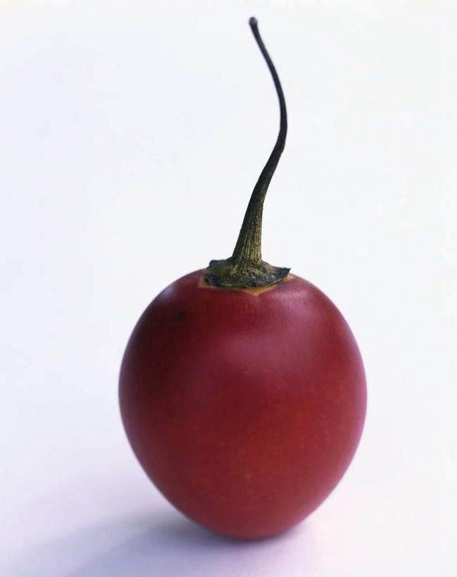 无人,竖图,俯视,室内,特写,白天,白色背景,蔬菜,西红柿,阴影,新鲜,光线,影子,食品,食物,一个,红色,有机食品,绿色食品,单个,樱桃番茄,圣女果,番茄,彩图,高角度拍摄,影棚拍摄