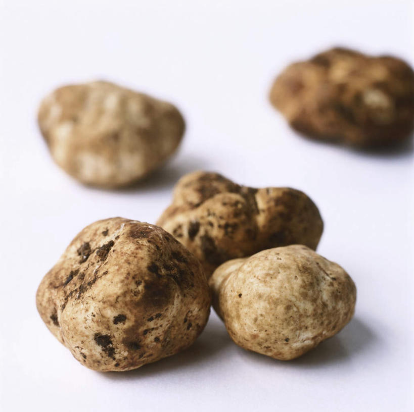 无人,横图,俯视,室内,特写,白天,白色背景,蔬菜,五个,许多,阴影,新鲜,光线,影子,菌菇,食品,褐色,菌类,食物,食用菌,有机食品,绿色食品,黑孢块菌,黑块菌,块菌,彩图,高角度拍摄,影棚拍摄