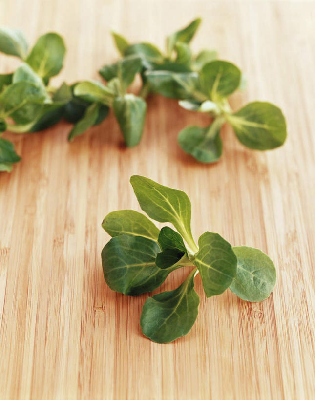 无人,竖图,俯视,室内,特写,白天,餐桌,桌子,蔬菜,许多,阴影,新鲜,光线,影子,莴苣,莴笋,食品,很多,食物,有机食品,绿色食品,餐台,香笋,千金菜,彩图,高角度拍摄,影棚拍摄