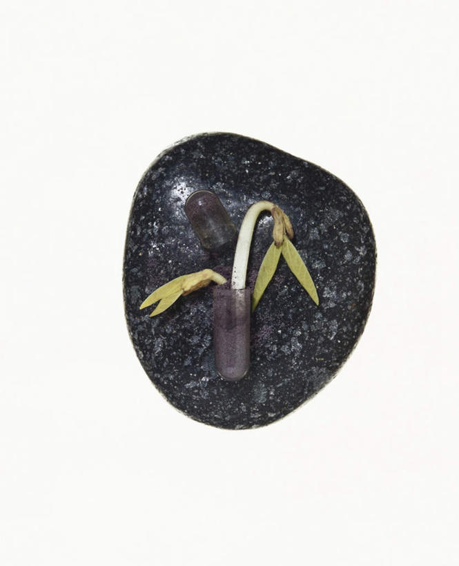 无人,竖图,俯视,室内,特写,白天,白色背景,植物,桌面,桌子,豆,蔬菜,阴影,新鲜,光线,木制,影子,豆类,豆子,黑豆,食品,发芽,食物,一个,木制品,摄影,有机食品,绿色食品,影棚,单个,豆科,乌豆,乌大豆,抽芽,彩图,高角度拍摄,影棚拍摄,拍摄