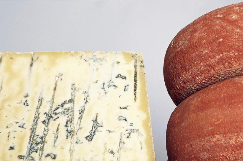 奶酪,无人,横图,俯视,室内,特写,白天,白色背景,三块,干酪,起司,芝士,营养,红色,白色,乳酪,摄影,影棚,乳制品,发酵,蓝纹奶酪,斯提耳顿干酪,彩图,高角度拍摄,影棚拍摄,拍摄