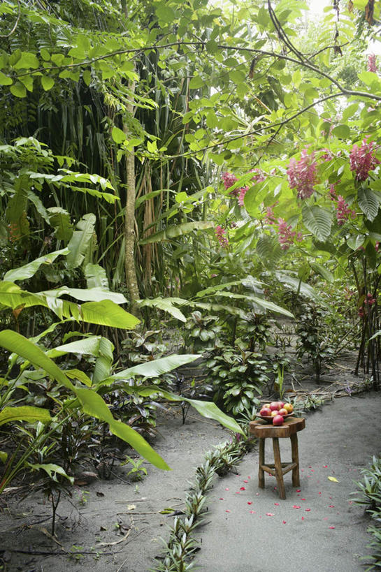 无人,竖图,俯视,室外,白天,美景,植物,道路,路,芒果,葡萄,水果,椅子,吊挂,悬挂,阴影,朦胧,模糊,新鲜,光线,影子,景观,小路,生食,食品,果实,果树,交通,挂,树,树木,食物,绿色,阳光,自然,景色,有机食品,绿色食品,生长,成长,自然风光,望果,山葫芦,蒲桃,蜜望,檬果,闷果,漭果,杧果,草龙珠,庵波罗果,彩图,高角度拍摄