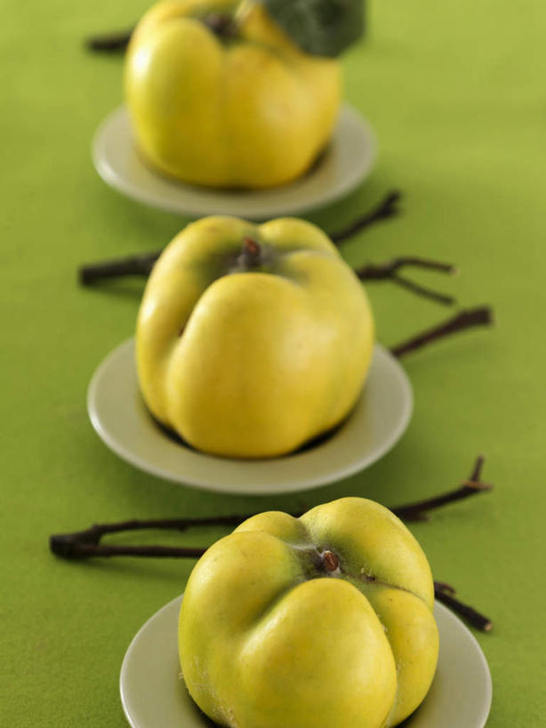 无人,竖图,俯视,室内,特写,白天,植物,餐具,水果,一排,绿色背景,阴影,新鲜,整齐,反射,碟子,盘,影子,生食,食品,果实,枝条,树,树木,树枝,食物,排列,三个,黄色,盘子,碟,摄影,有机食品,绿色食品,影棚,队列,温柏,虬枝,枝杈,彩图,高角度拍摄,影棚拍摄,拍摄