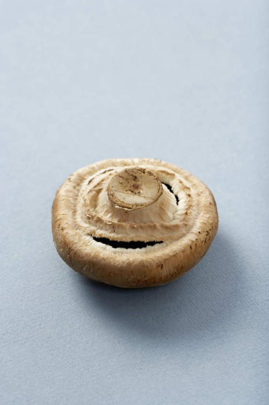 无人,竖图,俯视,室内,特写,白天,桌面,桌子,蔬菜,阴影,灰色背景,新鲜,反射,木制,影子,菌菇,香菇,食品,菌类,食物,一个,黄色,木制品,食用菌,摄影,有机食品,绿色食品,影棚,单个,颠倒,倒置,彩图,高角度拍摄,影棚拍摄,拍摄