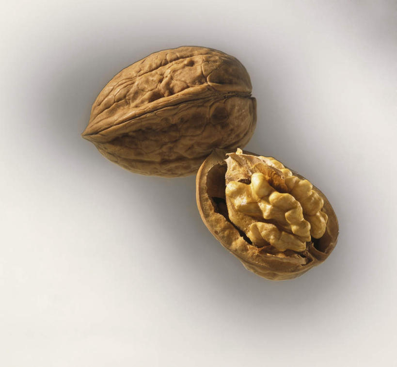 无人,横图,俯视,室内,特写,白天,白色背景,桌面,桌子,切开,阴影,反射,木制,影子,核桃,坚果,果实,木制品,干果,切,摄影,影棚,剖面,切面,胡桃,羌桃,彩图,高角度拍摄,影棚拍摄,拍摄