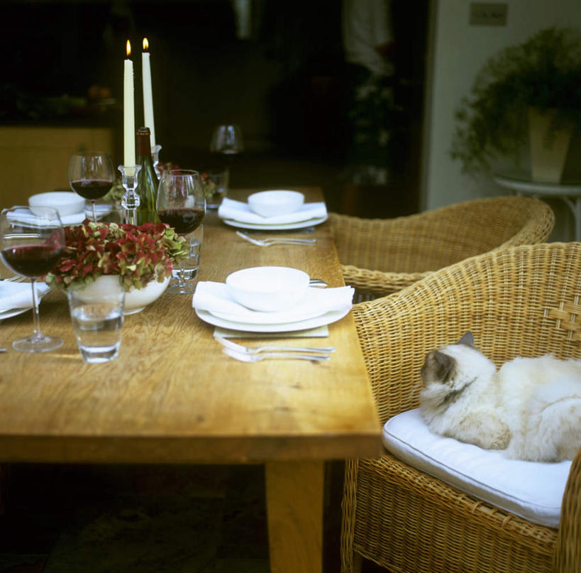 无人,横图,俯视,室内,特写,白天,桌面,桌子,宠物,猫,蔬菜,杯子,餐具,花瓶,蜡烛,椅子,四只,一堆,许多,阴影,堆叠,堆积,朦胧,模糊,新鲜,反射,木制,碟子,高脚杯,火焰,盘,影子,烛光,坐垫,陶瓷,食品,陶瓷制品,红酒杯,很多,燃烧,藤制,玻璃制品,食物,一只,动物,盘子,酒杯,木制品,瓶子,容器,碟,碗,点燃,趴着,可爱,有机食品,绿色食品,储藏,堆,藤制品,储存,猫咪,玻璃杯,趴,半身,彩图,高角度拍摄,贮存