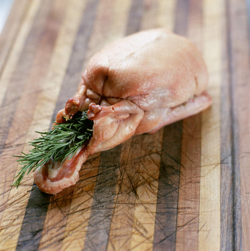 无人,竖图,俯视,室内,特写,白天,烹饪,西餐,餐桌,桌子,鸟,阴影,朦胧,模糊,光线,鸟类,影子,调味,香料,佐料,料理,食品,菜肴,美食,食物,一只,西式,佳肴,餐台,迷迭香,配料,海洋之露,作料,鹌鹑,奔鹑,宛鹑,彩图,高角度拍摄