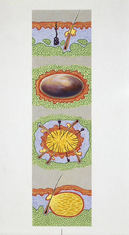 无人,竖图,插画,白色背景,数码,科技,阴影,科学,网络,图表,细胞,高光,几何,计算机图形,合成,图画,画,人体,摄影,皮肤,电脑合成图,数码合成图,合成图,横截面,漫画,写实,具体,具象,皮脂腺,人体结构,彩图,囊肿