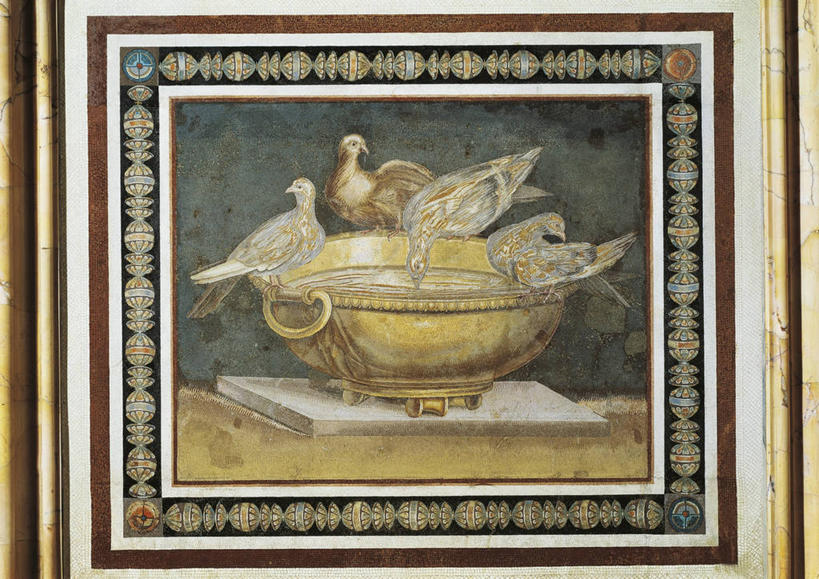 无人,横图,室内,白天,四只,花纹,斑鸠,图案,古代,碗,摄影,彩图,哈德良别墅,阿德利阿纳村庄