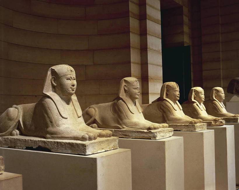 无人,横图,室内,雕塑,五个,一排,许多,整齐,历史,排列,趴着,摄影,保护,考古学,中东,队列,萨卡拉,斯芬克斯,古埃及文明,古代文明,美术工艺,彩图,过去