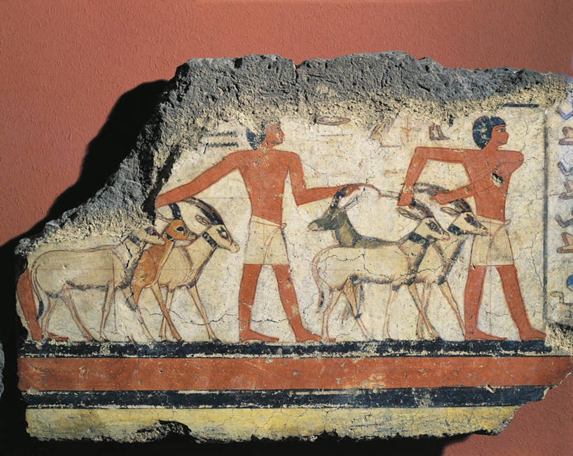 无人,横图,插画,特写,数码,科技,阴影,网络,捕食,标志,符号,高光,几何,计算机图形,合成,图画,标识,壁画,画,古代,摄影,电脑合成图,数码合成图,合成图,漫画,长角羚,瞪羚,写实,具体,具象,性别符号,古埃及文明,古代文明,美术工艺,彩图,影棚拍摄,男性符号