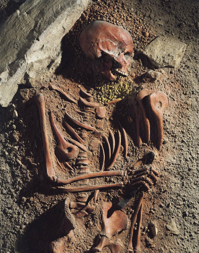 骨骼,无人,竖图,俯视,特写,骨头,历史,古代,一个,人体,摄影,单个,死亡,考古学,骨架,殒命,灭亡,彩图,高角度拍摄,石器时代,过去