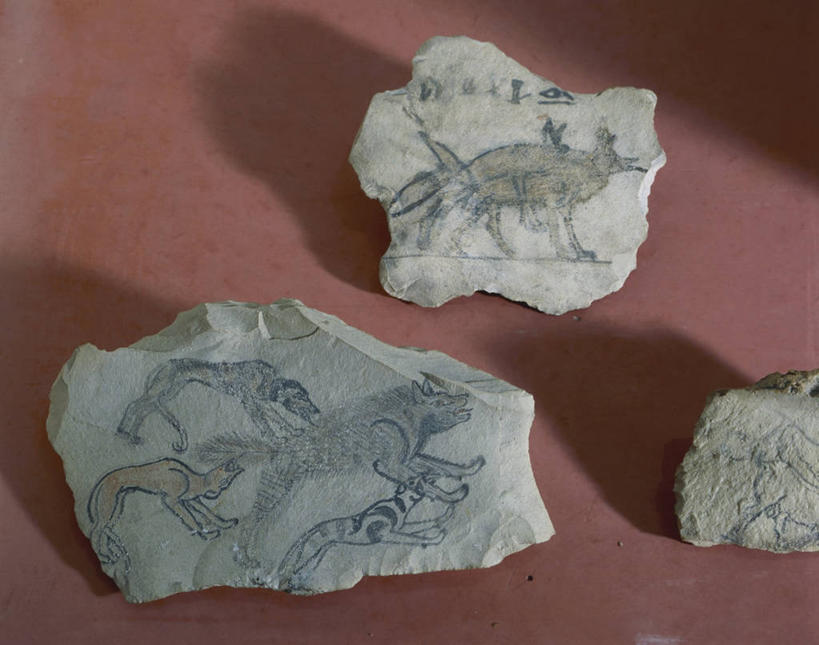 无人,横图,俯视,狗,野生动物,工具,古代,三个,摄影,豺,鬣狗,石灰石,古埃及文明,古代文明,美术工艺,彩图,高角度拍摄,影棚拍摄