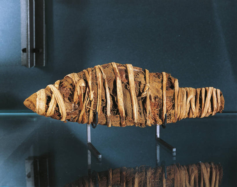 无人,横图,包装,鱼类,古代,一个,摄影,单个,尸体,死亡,木乃伊,尸身,遗体,古埃及文明,古代文明,人工干尸,彩图,影棚拍摄