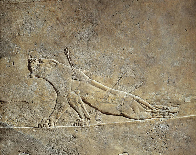 无人,横图,特写,古代,箭,摄影,死亡,古代文明,美术工艺,彩图,浅浮雕,过去