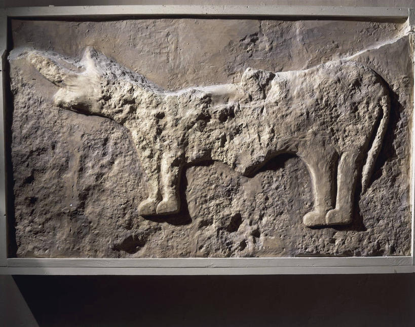 无人,横图,室内,侧面,历史,摄影,考古学,古代文明,美术工艺,史前时代,彩图,浅浮雕,石器时代,过去