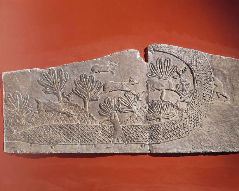 无人,横图,室内,鹿,橙色背景,捕食,标志,符号,网,标识,古代,摄影,性别符号,古代文明,美术工艺,彩图,浅浮雕,男性符号,过去