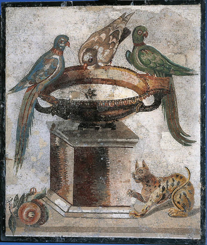 无人,竖图,室外,白天,水,意大利,四只,喝,花纹,鸟类,图案,历史,古罗马,古代,碗,摄影,美洲豹,那不勒斯湾,古代文明,卡塞塔,彩图,过去