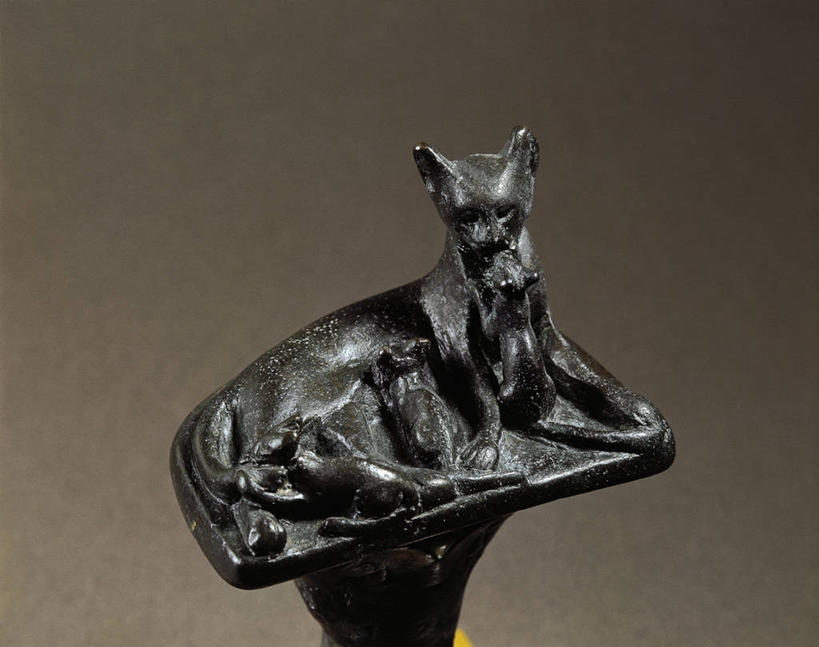 无人,横图,猫,灰色背景,哺乳,雕像,古代,一个,灰色,动物,摄影,单个,关爱,青铜,古埃及文明,古代文明,喂养,美术工艺,彩图,影棚拍摄