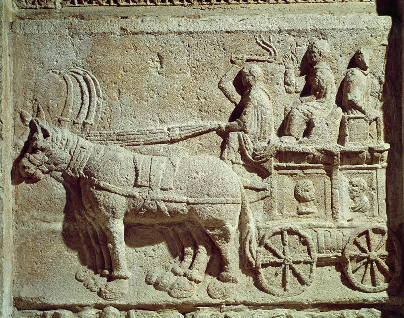 无人,横图,特写,旅途,雕塑,法国,推车,古罗马,古代,运输,摄影,驾车,驴子,美术工艺,彩图,影棚拍摄,浅浮雕