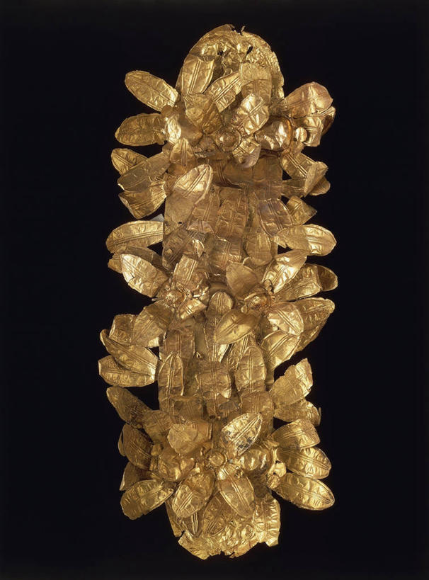 无人,竖图,特写,叶子,意大利,黑色背景,首都,一个,摄影,单个,拉奇奥,古代文明,美术工艺,王冠,彩图,影棚拍摄