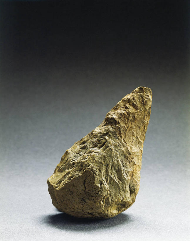 无人,竖图,特写,杏仁,意大利,化石,坚果,果实,一个,干果,摄影,单个,古代文明,美术工艺,卡拉布里亚,史前时代,杏子,杏梅仁,杏核仁,木落子,苦杏仁,彩图,影棚拍摄,石器时代