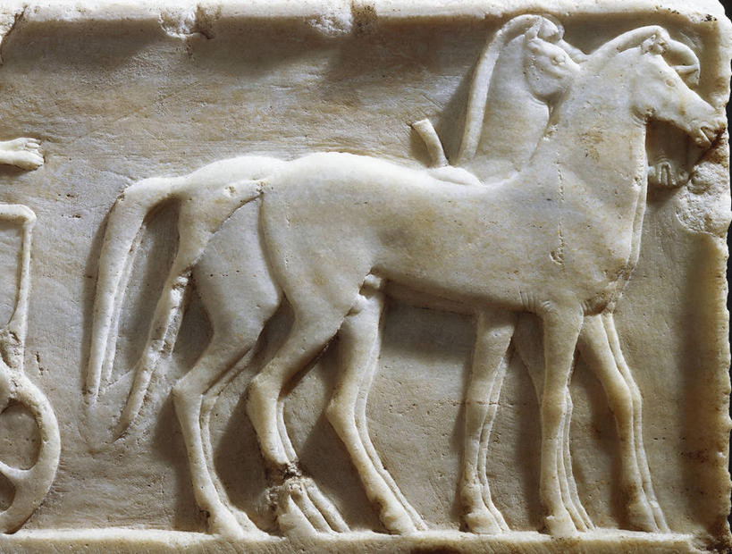 无人,拉,横图,特写,马,雕塑,古代,摄影,战车,古希腊,美术工艺,彩图,影棚拍摄,浅浮雕