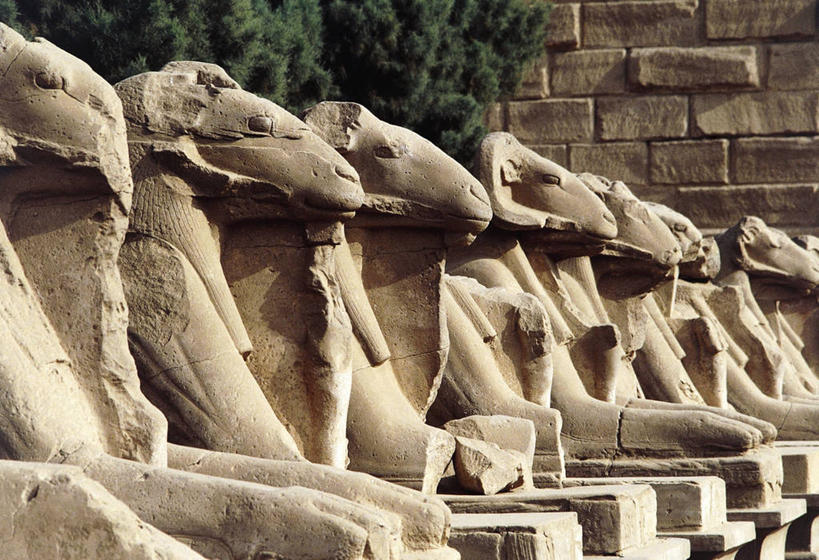无人,横图,室外,白天,重复,埃及,一排,整齐,雕像,古代,排列,地标建筑,摄影,宗教,中东,队列,卡尔纳克神殿,斯芬克斯,古埃及文明,古代文明,底比斯,美术工艺,彩图,阿蒙神,埃及卢克索
