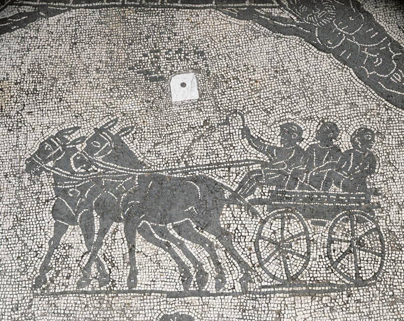 无人,横图,特写,旅途,意大利,一群,许多,花纹,图案,推车,马车,首都,很多,动物,两只,运输,摄影,骡子,拉奇奥,战车,彩图,全画面,全框架,全帧,全画幅