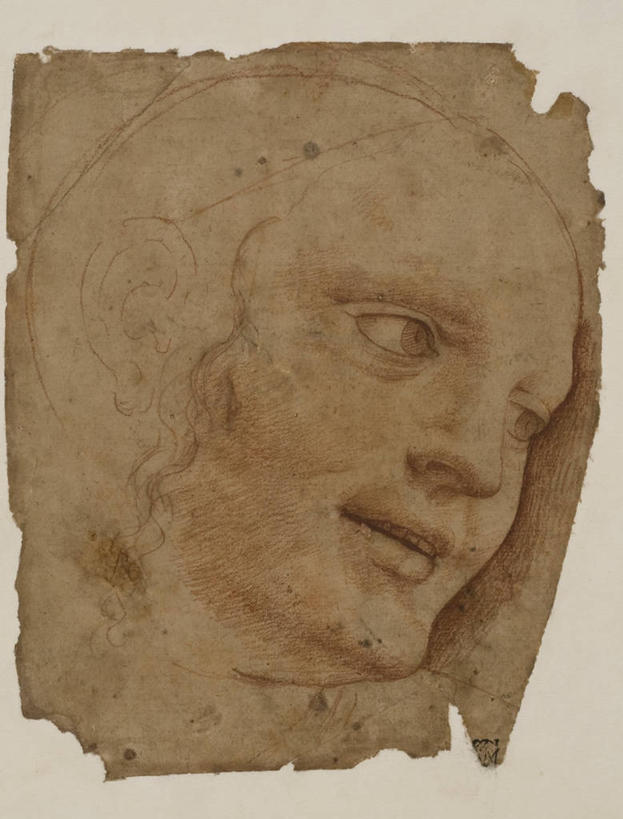 成年人,一个人,竖图,插画,特写,数码,科技,仅一个女性,阴影,网络,纸,高光,几何,计算机图形,文艺复兴,合成,图画,破坏,破损,画,摄影,头像,部分,损坏,电脑合成图,数码合成图,合成图,肖像,漫画,草图,粉笔画,写实,具体,具象,长发,画画,彩图