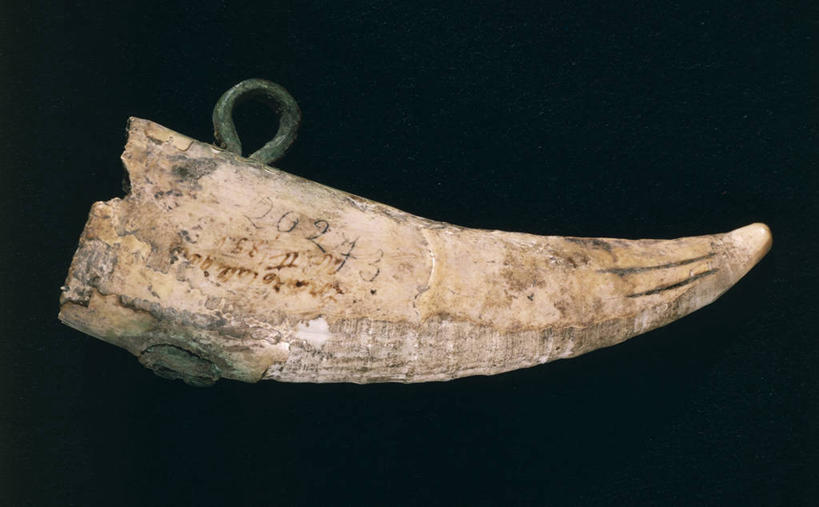 无人,横图,特写,虎,黑色背景,古代,一个,摄影,单个,美术工艺,史前时代,彩图,影棚拍摄,石器时代,雕刻术