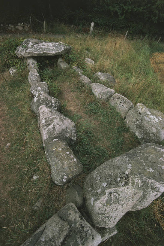 无人,竖图,俯视,室外,白天,爱尔兰,历史,草,地标建筑,摄影,考古学,透视图,古代文明,史前时代,劳斯郡,彩图,高角度拍摄,爱尔兰文化