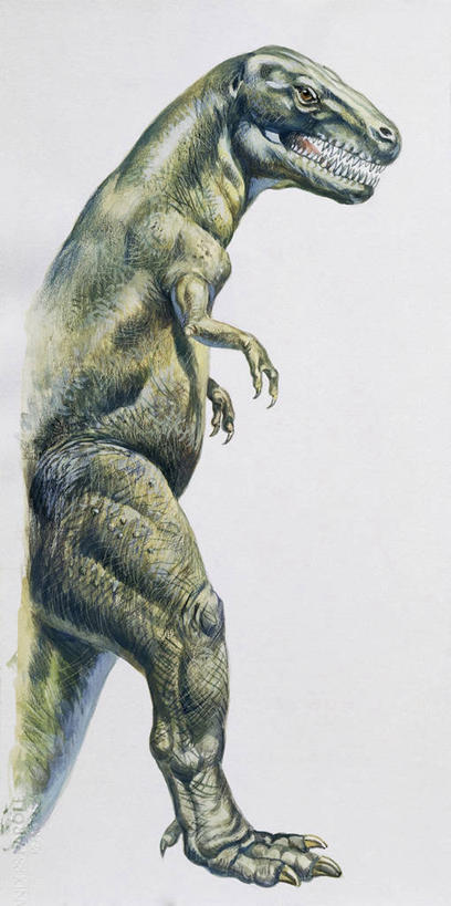 无人,站,竖图,全景,插画,侧面,数码,科技,野生动物,阴影,网络,高光,几何,计算机图形,合成,图画,画,部分,电脑合成图,数码合成图,合成图,漫画,霸王龙,写实,具体,具象,史前时代,彩图,白垩系