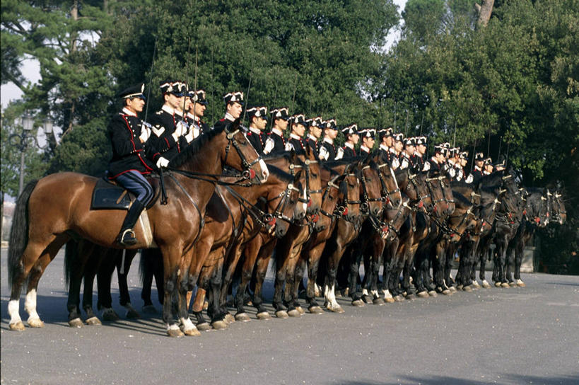 成年人,站,横图,室外,白天,马,一排,一群,许多,士兵,整齐,很多,许多人,历史,树,排列,一群人,摄影,敬礼,队列,军服,军队,男人,彩图,马刀