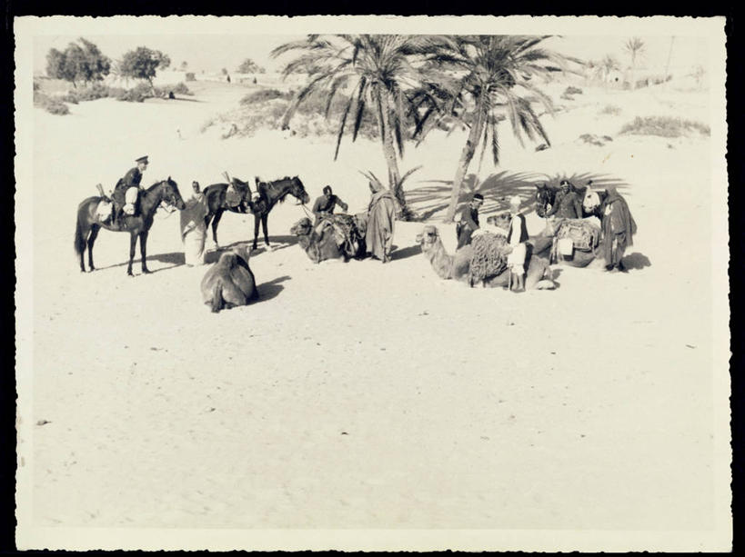 成年人,横图,俯视,黑白,室外,白天,侧面,沙漠,棕榈树,马,利比亚,士兵,骑马,军事,历史,家畜,摄影,控制,军服,合伙,意大利文化,结束,男人,彩图,高角度拍摄,帝国,财会