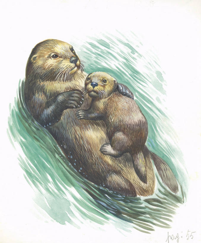 游泳,无人,竖图,俯视,插画,室外,白天,留白,绘画,数码,科技,海洋,水,哺乳动物,野生动物,水獭,阴影,漂浮,艺术,网络,数字,文字,高光,几何,计算机图形,古典,合成,图画,文化,画,自然,动物,工艺品,品味,两只,休息,放松,保护,美术,电脑合成图,数码合成图,生物学,高雅,合成图,关爱,幼兽,海獭,漫画,写实,具体,具象,美学,美术工艺,彩图,高角度拍摄