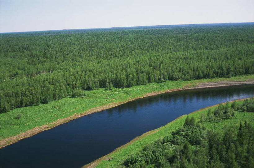 无人,横图,俯视,航拍,室外,白天,旅游,度假,河流,美景,森林,俄罗斯,弯曲,地平线,地形,景观,辽阔,地面,娱乐,风景,自然,享受,休闲,广阔,景色,放松,摄影,宁静,一望无际,鸟瞰,自然风光,延伸,西伯利亚,针叶林,万里无云,天地相交,无边无际,一马平川,自然地理,彩图,高角度拍摄