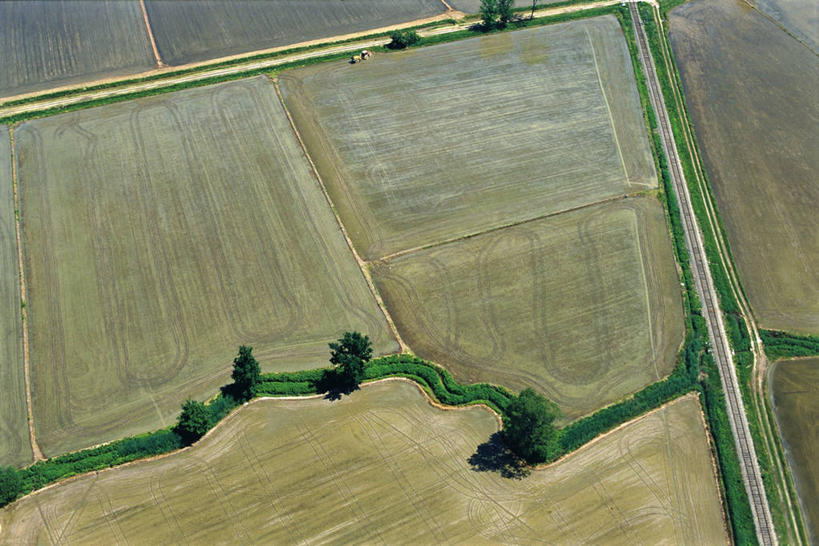 无人,农场,横图,俯视,航拍,室外,白天,旅游,农业,农作物,美景,意大利,稻田,地形,景观,田地,自然,景色,摄影,鸟瞰,自然风光,诺瓦拉,自然地理,彩图,高角度拍摄,旅行